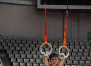 九游地址-竞技体操选手完美演绎各项动作