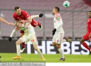 九游官方入口-美因茨客场战平对手，积分榜上升的简单介绍