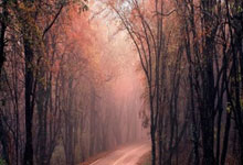 九游下载-詹姆斯荣膺NBA总决赛MVP，进入名人堂